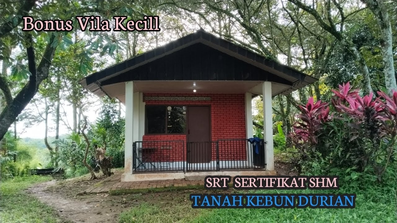 Dijual Tanah Kebun Durian Musangking Bawor Dll Surat Sertifikat Hakmilik Akses Masuk Mobil Kelokasi