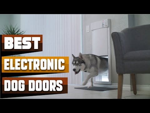 فيديو: حول أبواب الحيوانات الأليفة الإلكترونية للكلاب