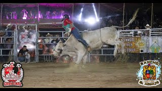 La cintura!!Así arrancabamos con la primera monta, AHIJADO DE MELAQUE VS BESO DE ANGEL