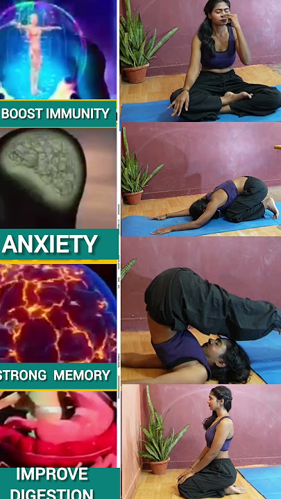 Powerful4 Yoga Asanas for Daily Energy Boost#yoga #asana #shots #ytviral #yt #fitness #fit #yogapose