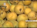 Модульный цех по переработке плодов и ягод (Енисей Минусинск)