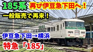 【185系が再び伊豆急下田へ！】特急「185」に乗ってきた！