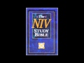 The Gospel of Mark (NIV Audio Bible Non Dramatized)