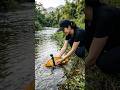 ANIMAL POV Asian Girl Releases Carp with Action Camera