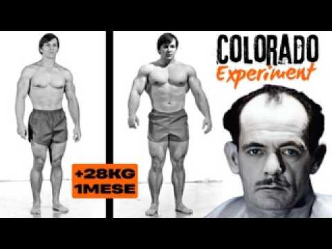 È POSSIBILE GUADAGNARE 28KG DI MUSCOLI IN 28 GIORNI? ESPERIMENTO DEL ...