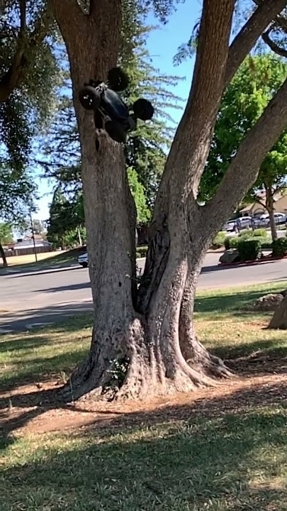 Arrma notorious tree climb flip