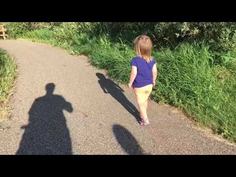 V crosses a Troll Bridge -2017