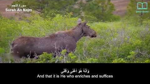 سورة النجم - سعد الغامدي - مترجم | Surah An Najm - Saad Alghamdi - English subtitles