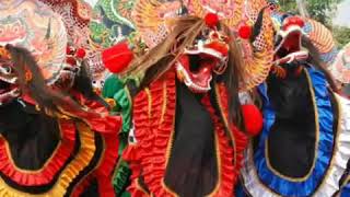 Viva video barongan