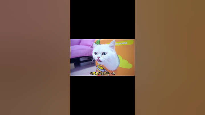 可怕的主人，竟然想害小猫咪，结尾太感动了【七宝小圆子】#shorts #猫 #pets