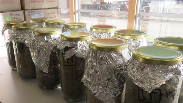 Turning the tide on plastic microparticles