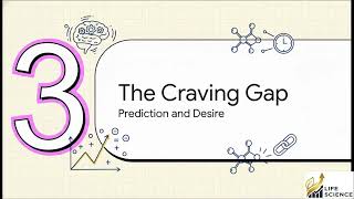 Atomic Habits Chapter 10 Explained | How to Find and Fix the Causes of Your Bad Habits