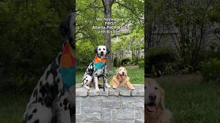 We Hosted Our First Atlanta Pack Walk