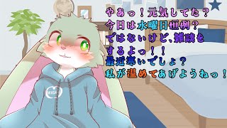 【雑談枠】水曜日の雑談配信だよっ！寒さなんか吹き飛ばそうねっ！