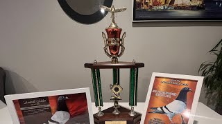 A Glimpse Of 2022 Auckland Racing Pigeon Federation Nz Awarding Of The Champions. Miles Loft Nz