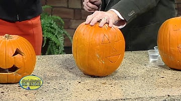 Exploding Pumpkins - Cool Science Experiment