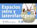 Espacios Perifaríngeos | Anatomía Topográfica