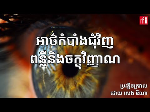 តើ​ភ្នែក​របស់​យើង​អាច​មើ​លឃើញ​អ្វីៗ​បាន​ដោយ​របៀបណា?