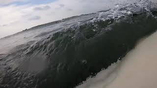 20180717シダトラ