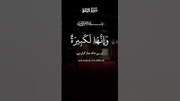 #سورة_البقرة #احبكم #اكسبلور #ترند #القرآن_الكريم #لايك