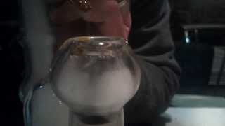 midnight dabbin
