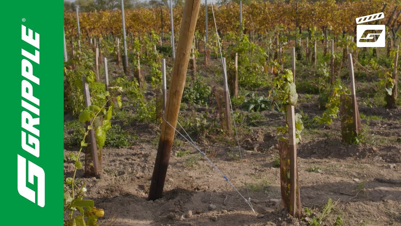 GPAK Plus W | Haubanage de piquets bois