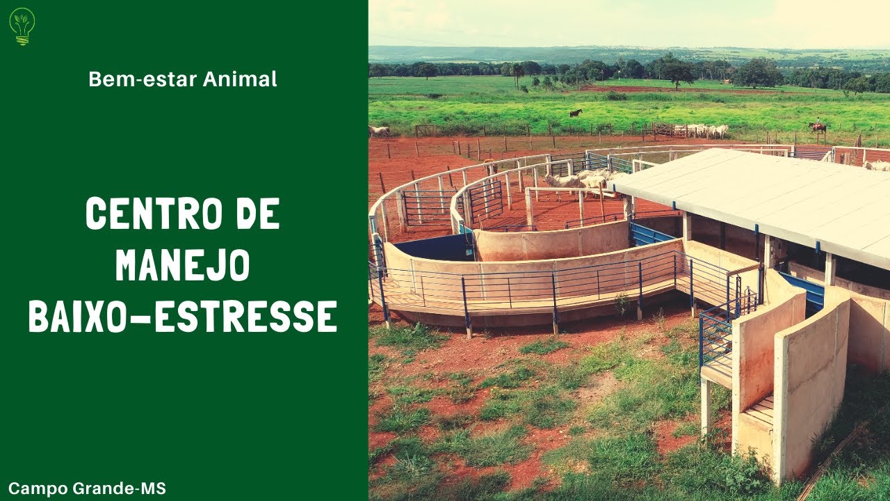Centro de Manejo de Baixo-estresse | Bem-estar animal