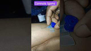 iv cannula lagane ka full process #hospital #medical #nursing #gnm #motivation #viral #video #1m #yt