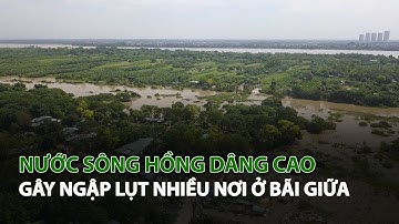 Nước Sông Hồng dâng cao gây ngập lụt nhiều nơi ở bãi giữa| VTC14