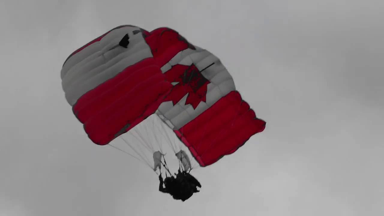 Canadian Forces SkyHawks Willow Run Air Show YouTube