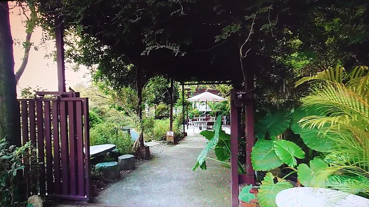 ~野人花园•阳明山谷~中秋假期原本开车规划带我女婿女儿小孙孙上阳明山谷一家熟悉的蒙马特Montmartre咖啡屋去喝喝咖啡，但遗撼蒙马特被包场了。但幸运的却是，竟然附近找到这家新开幕的野人花园咖啡馆！ - 天天要闻