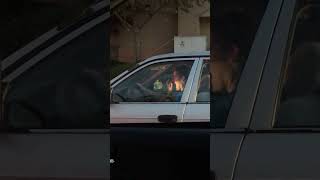 Woman picks her nose in car