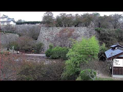 津山城（鶴山公園）ライブ配信