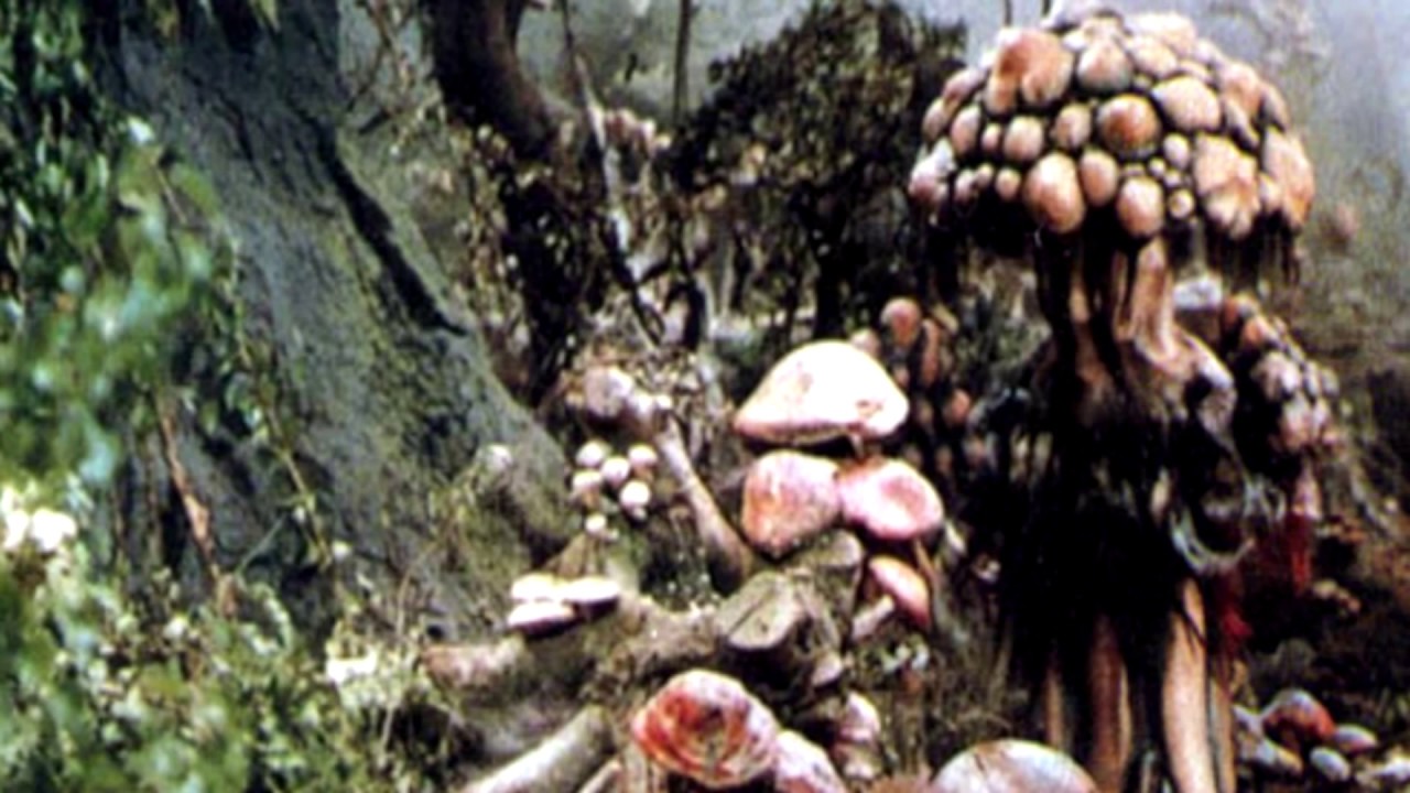Matango Roars (Matango, 1963) - YouTube