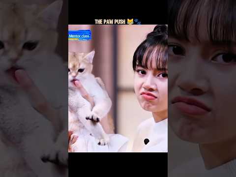 Lisa's cat pushed her face away😹 #LISA #BLACKPINK #FunnyLisa #fyp #Shorts