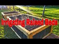 How to Irrigate a Raised Garden Bed: The Perfect Step-by-Step Guide