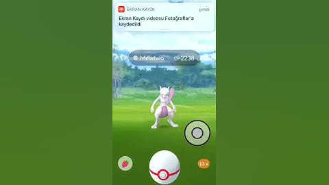 HOW TO CATCH MEWTWO (2nd Ball)-2