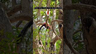 This Side Of Tirupati Feels Unexpected What Other Animals Did You Spot On The Way?Comment Below