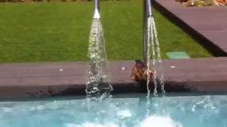 IMG 0258