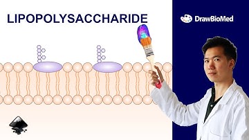 How to draw lipopolysaccharides LPS  in Inkscape | Scientific Illustration | Graphical Abstract
