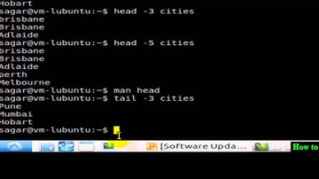 How to print last n lines in a file in Linux Shell terminal