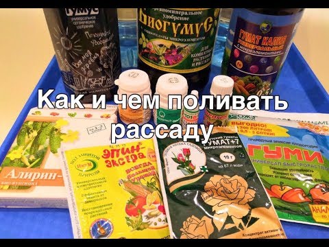 Видео: Иркутските „полтъргайсти“не са това, което изглеждат - Алтернативен изглед