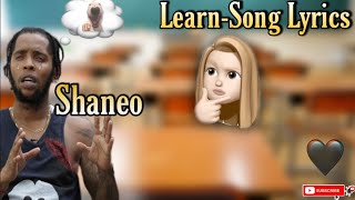 Shaneo - Learn lyrics