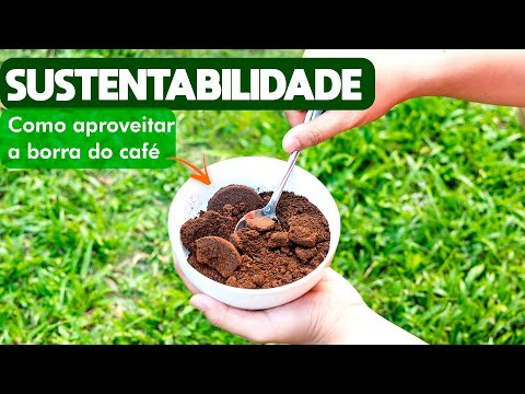 Vídeo: A borra de café absorve odores?