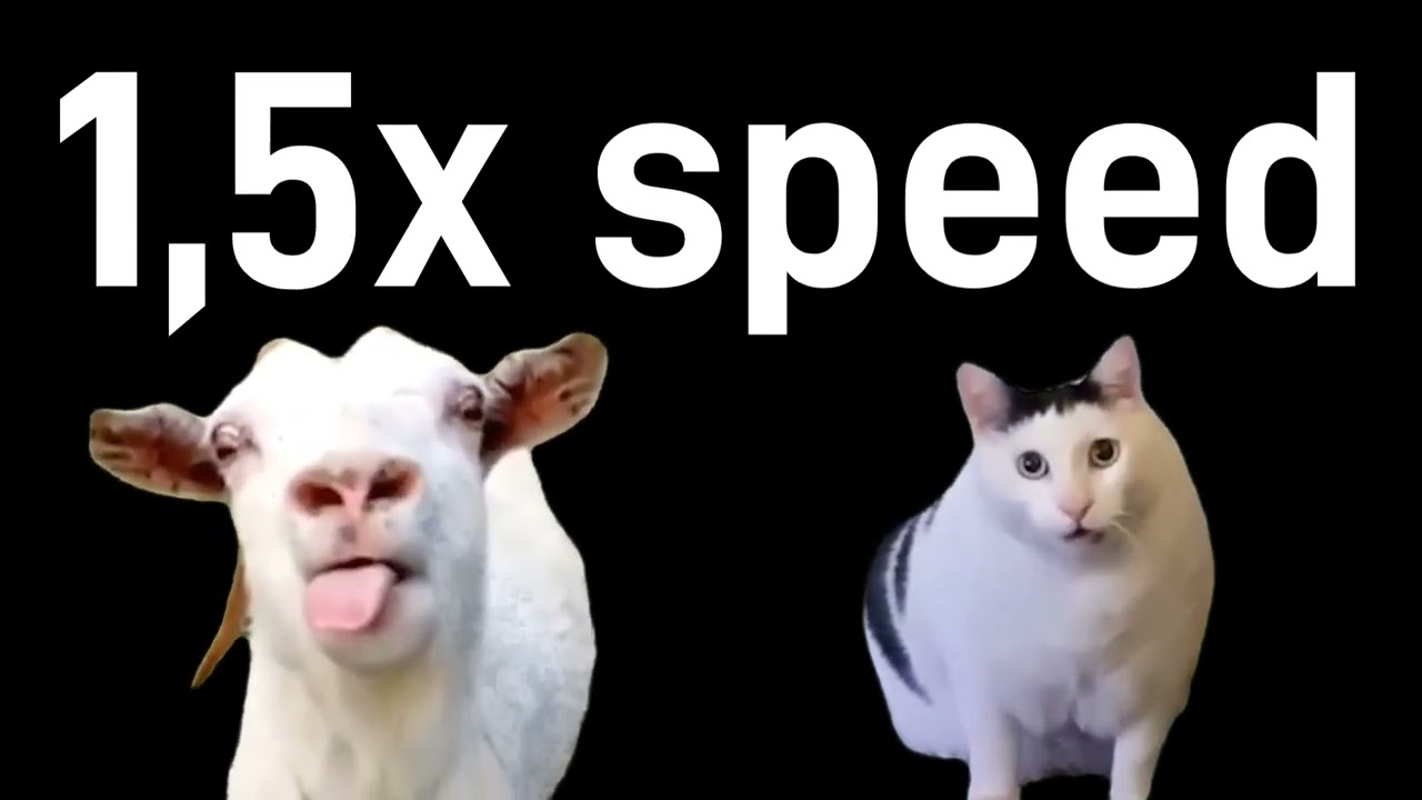 Goat Talking to Clueless Huh Cat Meme Sound Variations in 25 Seconds
