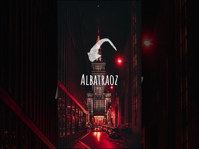 AronChupa - I'm an Albatraoz #lyrics #trend #song #tiktok #instagram #viral class=