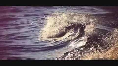 Unity College: The Official Hunger Games Trailer