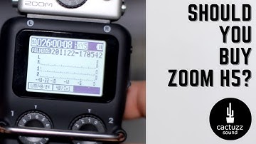 Zoom H5 Review. Should You Buy This Handy Field Recorder?