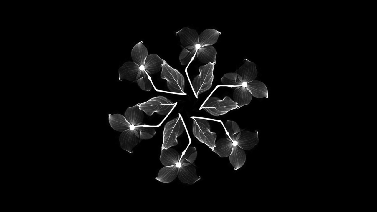 Watch Bakerloo - Low Levels (Original Mix) on YouTube Watch Bakerloo - Low Levels (Original Mix) on YouTube