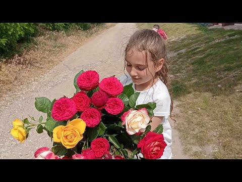 ბავშვთა დღე🥳 ჩემი სიყვარულები❤️პატარა VLOG ❤️ ვიდეო - ფოტო კოლაჟი❤️